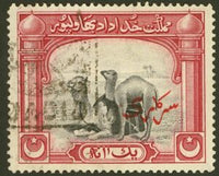 Bahawalpur 1945 Dromedary (Camelus dromedarius)