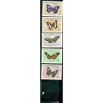 El Salvador Butterflies , 5 stamps