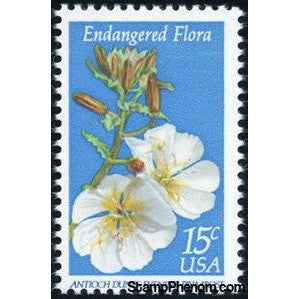 United States of America 1979 Endangered Flora: Antioch Dunes Evening Primrose