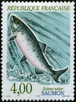 France 1990 Freshwater Fishes-Stamps-France-Mint-StampPhenom