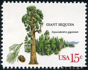 United States of America 1978 Giant Sequoia (Sequoiadendron giganteum)