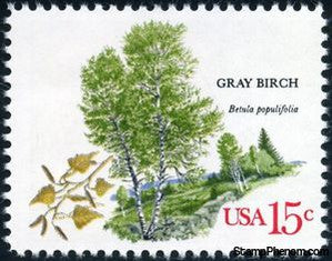 United States of America 1978 Gray Birch (Betula populifolia)