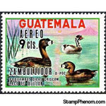 Guatemala 1970 Atitlan Grebe (Podilymbus gigas)-Stamps-Guatemala-Mint-StampPhenom