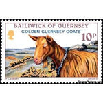 Guernsey 1980 Golden Guernsey Goat (Capra aegagrus hircus)-Stamps-Guernsey-Mint-StampPhenom