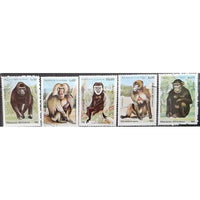 Guine-Bissau Monkeys, 5 stamps-Stamps-Guine-Bissau-StampPhenom