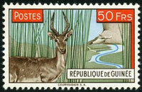 Guinee 1961 Bohor Reedbuck (Redunca redunca)-Stamps-Guinee-Mint-StampPhenom