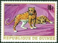 Guinee 1968 Animals-Stamps-Guinee-Mint-StampPhenom