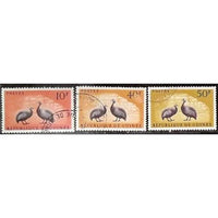 Guinee Republic Birds, 3 stamps-Stamps-Guinee Republic-StampPhenom