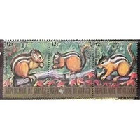 Guinee Republic Squirrels, 3 stamps-Stamps-Guinee Republic-StampPhenom