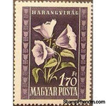 Hungary 1950 Bluebells (Campanula carpatica)-Stamps-Hungary-StampPhenom