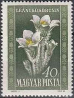 Hungary 1950 Flowers-Stamps-Hungary-StampPhenom