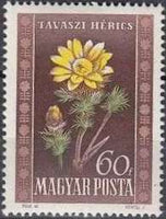 Hungary 1950 Flowers-Stamps-Hungary-StampPhenom