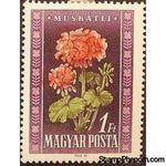 Hungary 1950 Geraniums (Pelargonium odoratissimum)-Stamps-Hungary-StampPhenom