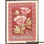 Hungary 1950 Peonies (Paeonia officinalis)-Stamps-Hungary-StampPhenom