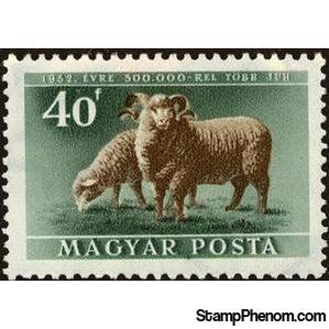 Hungary 1951 Domestic Sheep (Ovis ammon aries)-Stamps-Hungary-StampPhenom