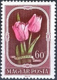 Hungary 1951 Flowers-Stamps-Hungary-StampPhenom