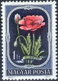 Hungary 1951 Flowers-Stamps-Hungary-StampPhenom