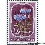 Hungary 1951 Flowers