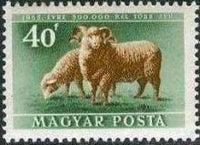 Hungary 1951 Livestock Expansion Plan-Stamps-Hungary-StampPhenom