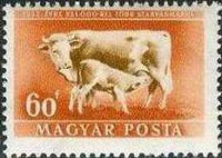 Hungary 1951 Livestock Expansion Plan-Stamps-Hungary-StampPhenom