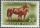 Hungary 1951 Livestock Expansion Plan-Stamps-Hungary-StampPhenom