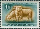 Hungary 1951 Livestock Expansion Plan-Stamps-Hungary-StampPhenom