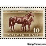 Hungary 1951 Mare and Foal (Equus ferus caballus)-Stamps-Hungary-StampPhenom