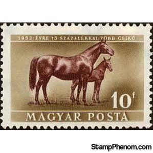 Hungary 1951 Mare and Foal (Equus ferus caballus)-Stamps-Hungary-StampPhenom