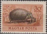 Hungary 1953 Airmails - Forest Animals-Stamps-Hungary-StampPhenom