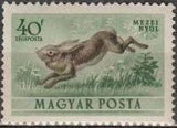 Hungary 1953 Airmails - Forest Animals-Stamps-Hungary-StampPhenom