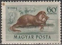 Hungary 1953 Airmails - Forest Animals-Stamps-Hungary-StampPhenom