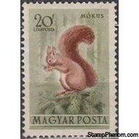 Hungary 1953 Airmails - Forest Animals