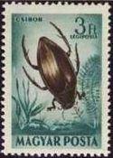 Hungary 1954 Airmails - Insects-Stamps-Hungary-StampPhenom