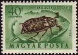 Hungary 1954 Airmails - Insects-Stamps-Hungary-StampPhenom