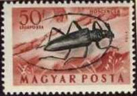 Hungary 1954 Airmails - Insects-Stamps-Hungary-StampPhenom