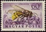 Hungary 1954 Airmails - Insects-Stamps-Hungary-StampPhenom