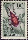 Hungary 1954 Airmails - Insects-Stamps-Hungary-StampPhenom