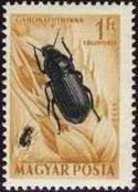 Hungary 1954 Airmails - Insects-Stamps-Hungary-StampPhenom