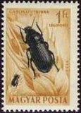 Hungary 1954 Airmails - Insects-Stamps-Hungary-StampPhenom