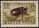 Hungary 1954 Airmails - Insects-Stamps-Hungary-StampPhenom