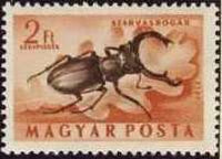 Hungary 1954 Airmails - Insects-Stamps-Hungary-StampPhenom