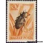 Hungary 1954 Airmails - Insects