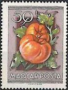 Hungary 1954 Fruit-Stamps-Hungary-StampPhenom