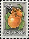 Hungary 1954 Fruit-Stamps-Hungary-StampPhenom