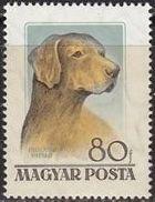 Hungary 1956 Dogs-Stamps-Hungary-StampPhenom