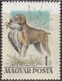 Hungary 1956 Dogs-Stamps-Hungary-StampPhenom