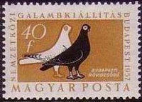 Hungary 1957 International Pigeon-Fanciers Exhibition-Stamps-Hungary-StampPhenom