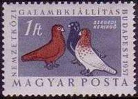 Hungary 1957 International Pigeon-Fanciers Exhibition-Stamps-Hungary-StampPhenom