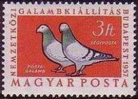 Hungary 1957 International Pigeon-Fanciers Exhibition-Stamps-Hungary-StampPhenom