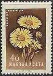 Hungary 1958 Flowers-Stamps-Hungary-StampPhenom